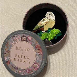 Erstwilder Wondrous Warbler Brooch / Pin, NIB